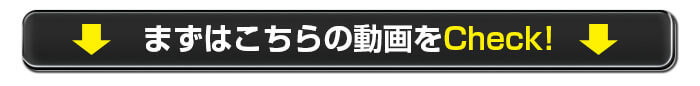 動画をチェック